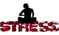005焦点场推荐来了！枪手能否顶住压力？