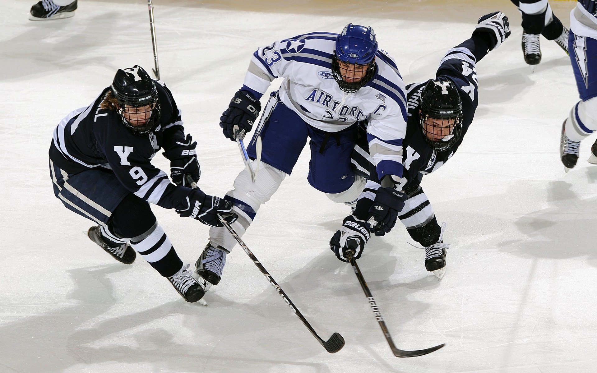 弗兰：他出色的防守能力让全黑队在面对强敌时能够稳扎稳打，弗兰实力