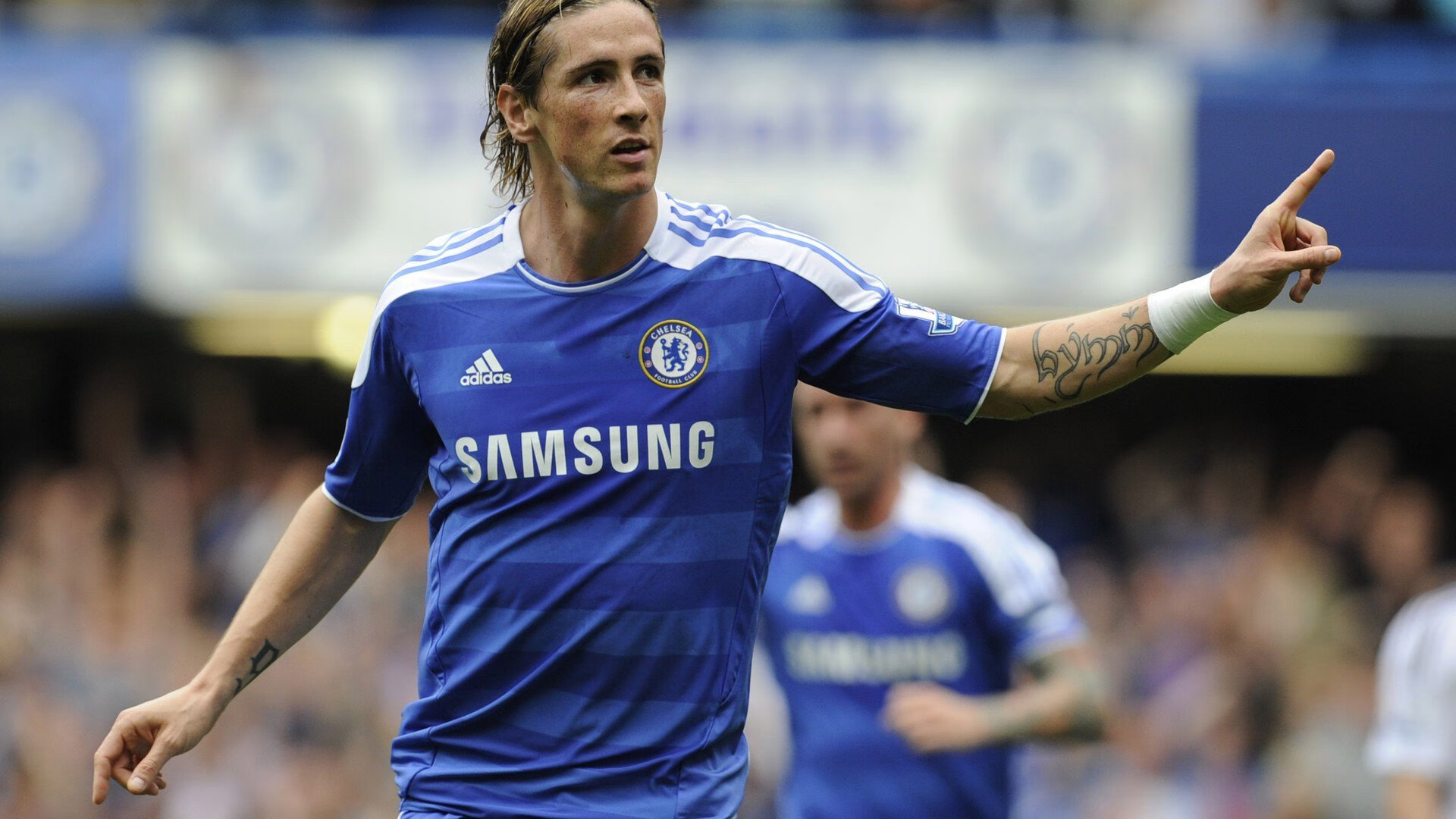 马尔尚泳姿流畅动作完美，马尔尚兄弟酒庄